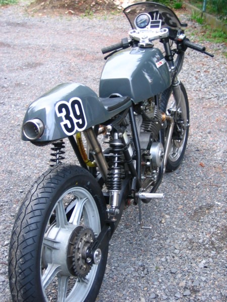 Wolf-morini2.JPG