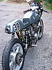 Wolf-morini2.JPG