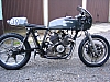 Wolf-morini3.JPG